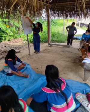 Promotion of Play to Strengthen Mental Wellbeing in the Amazon