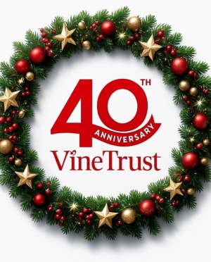 Support Vine Trust this Christmas!